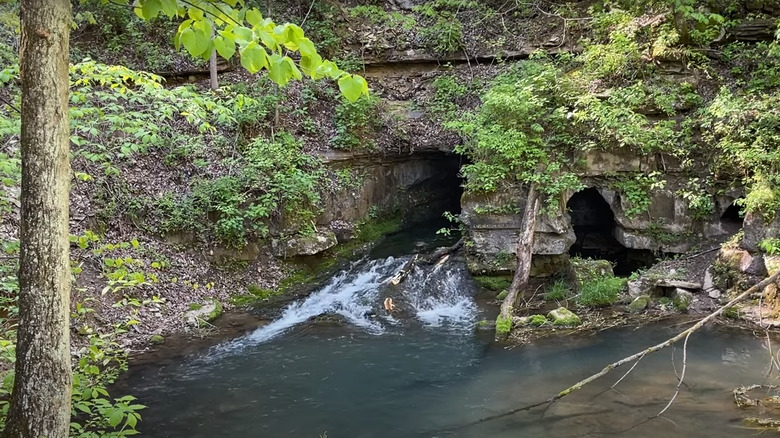 Cave entrances at Spring Mill State Park