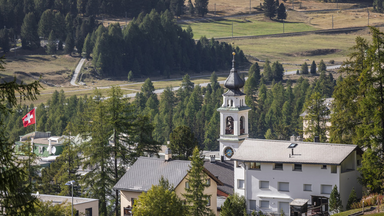 Swiss village surrounded by pine trees