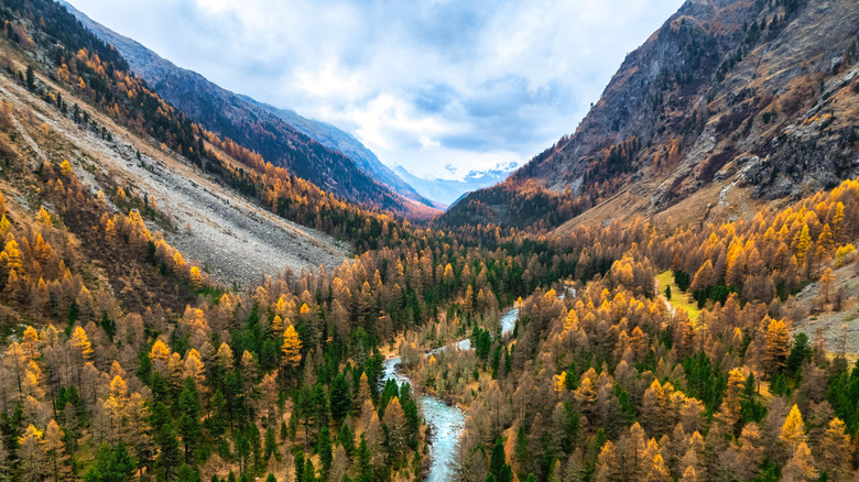 Autumn views of mountain and glacier