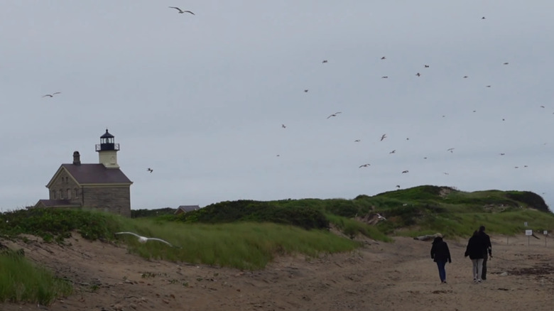 Refuge visitors touring the shoreline
