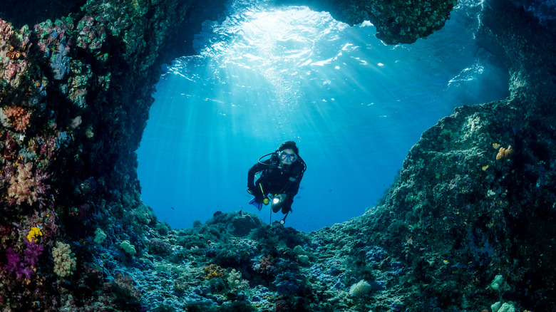 Diver entering cave