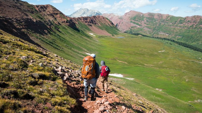 hikers in the wildnerness