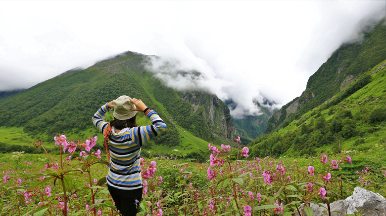 Hiker admiring a flowering meadow in Uttarakhand
