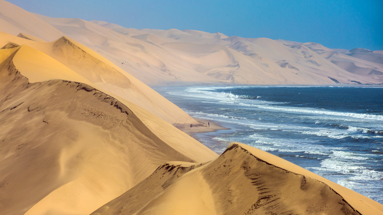 sand dunes running into ocean
