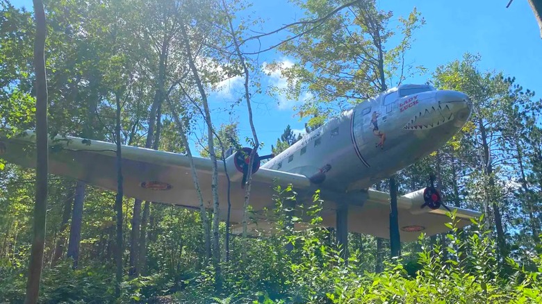 A silver plane surrounded by trees and blue sky.