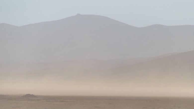 A dust storm whips up in front of mountains