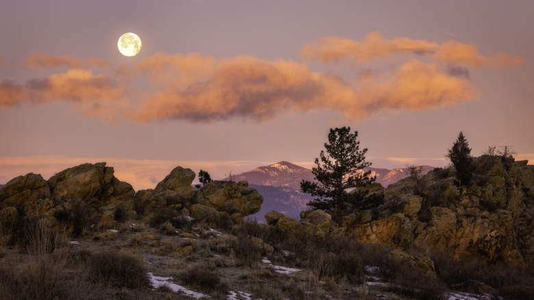 Moonrise over the Rocky Mountain foothills
