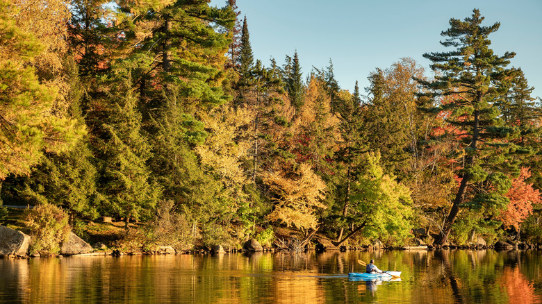 A person kayaking on a small lake with autumn trees all around