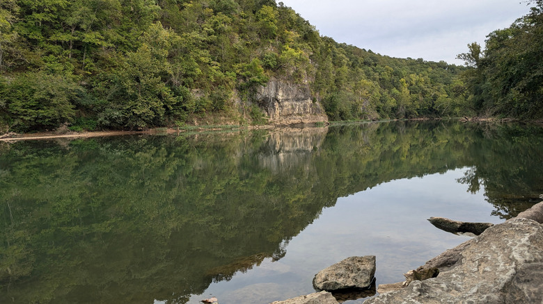 Meramec River with greenery reflecting on the water.