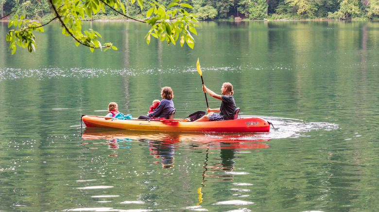 People kayaking in the Pacific Northwest