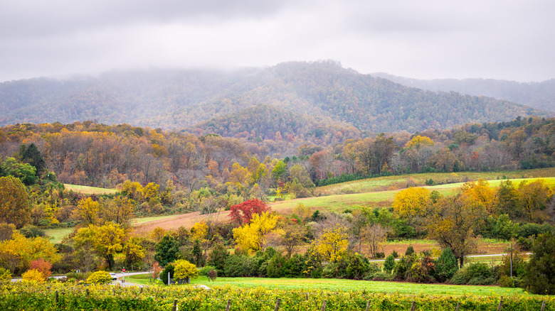 Fall landscape in Charlottesville, VA