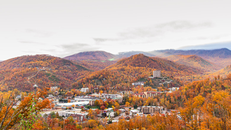 A scenic view overlooking rolling hills covered in colorful fall colors