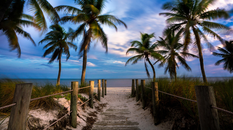 Path leading to Key West beach with palm trees on either side