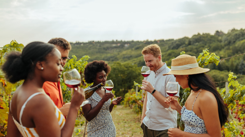 a group of five people tasting wine in a vineyard