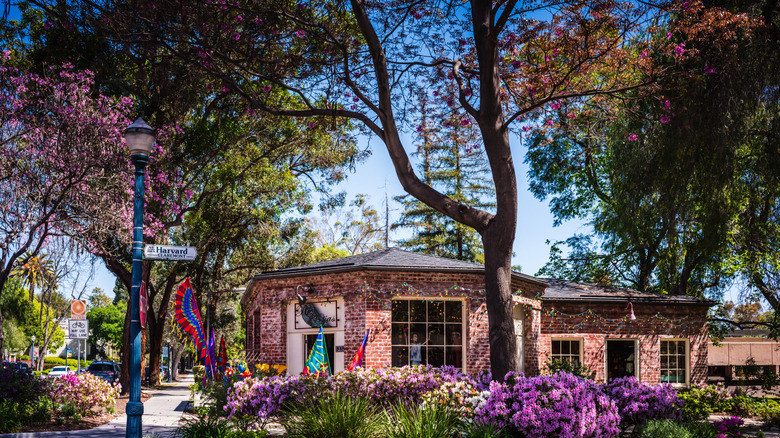 An eclectic shop in Claremont