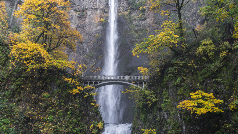 Multnomah Falls