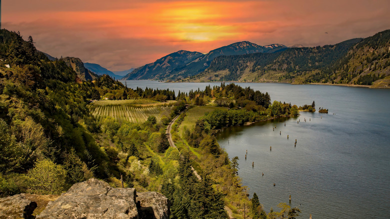 Columbia River Gorge at sunset