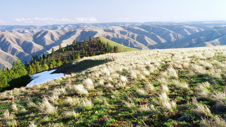 Expansive mountain view from Puffer Butte in Fields Spring State Park in Washington