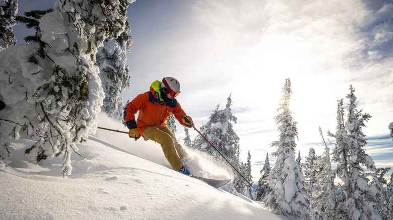 Person skiing among trees