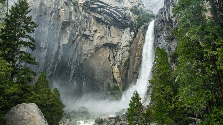 View of a waterfall with pine trees