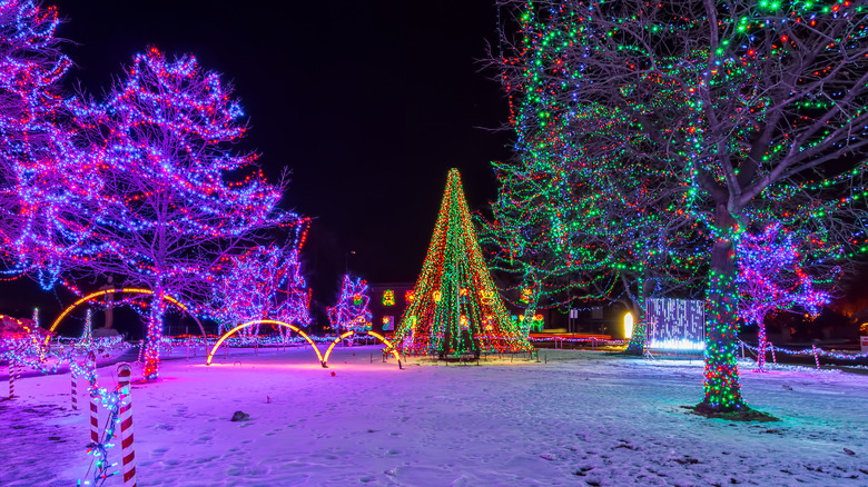 Park decorated with Christmas lights