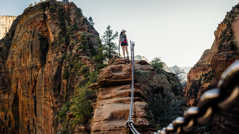 A hiker on Angel's Landing in Zion National Park