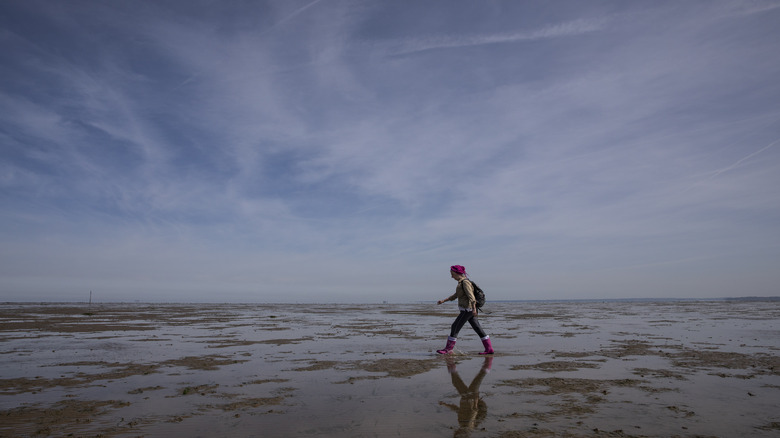 The Broomway Essex UK