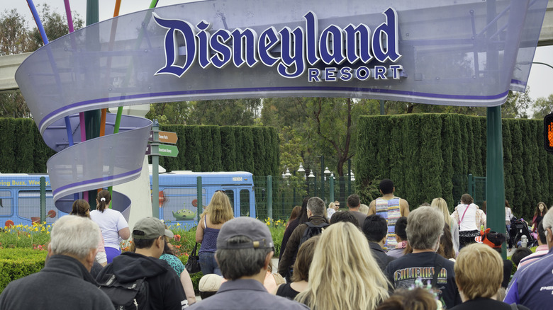 crowd at Disneyland