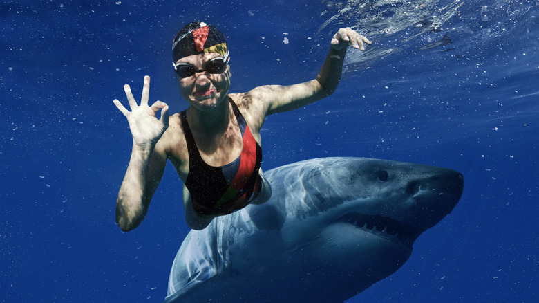 Woman swimming with sharks