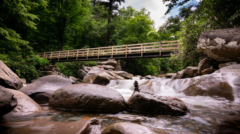 Along the Chimney Tops Trail