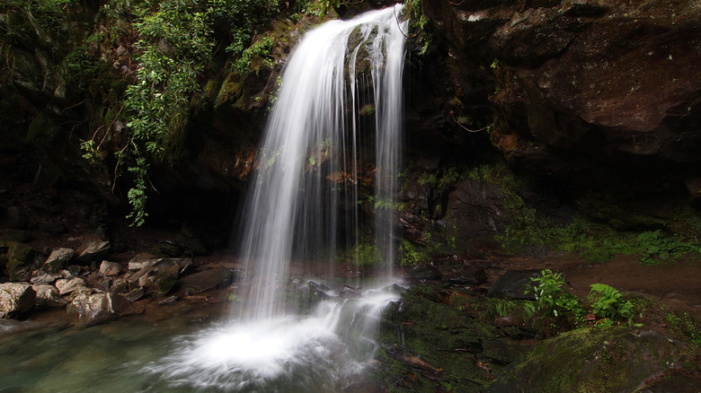 Grotto Falls in Tennessee