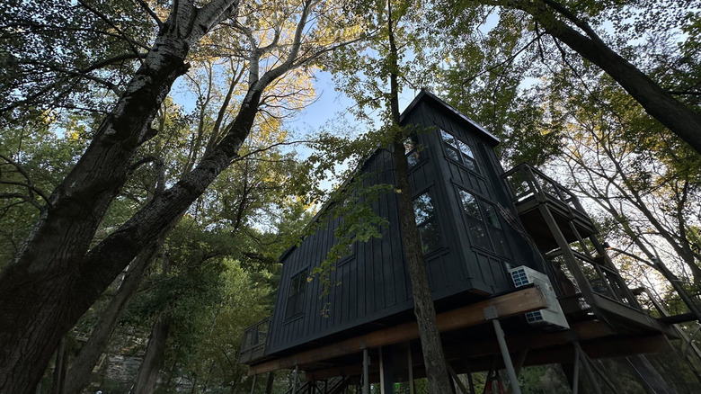 view from below of treehouse at Starved Rock State Park