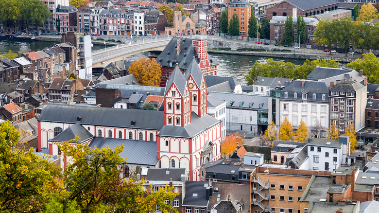 Aerial view on the city of Liege, Belgium