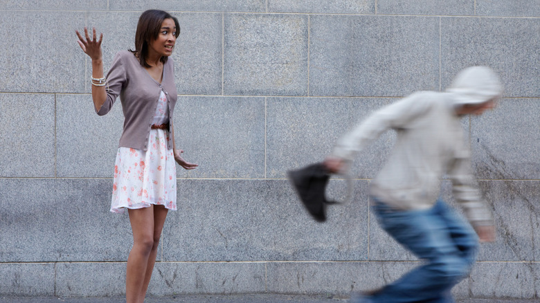 Criminal snatched a young woman's bag