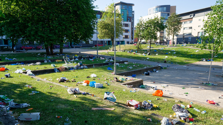 Trash littering public park