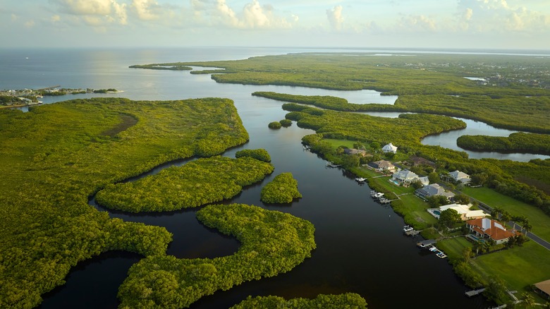 Waterways in Florida Everglades