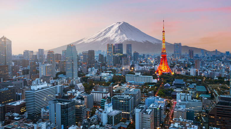 Mount Fuji and Tokyo skyline at dusk