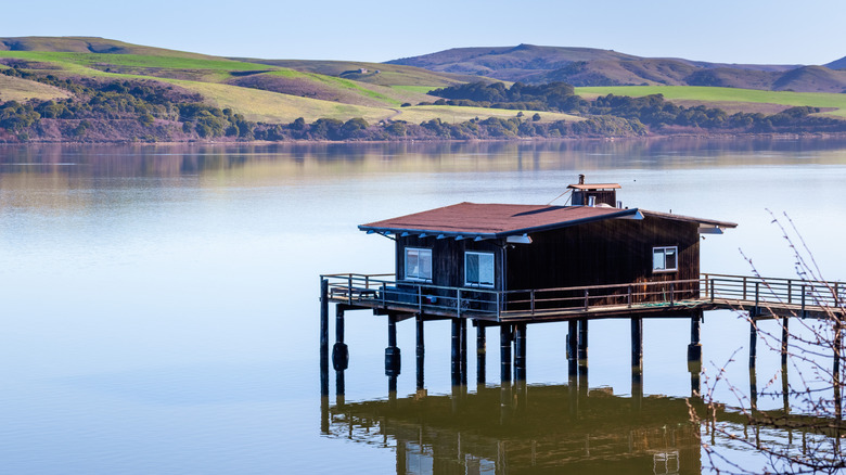 House on stilts on the shoreline of Tomales Bay in California
