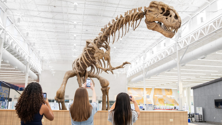 Three women taking photo of dinosaur skeleton in a museum