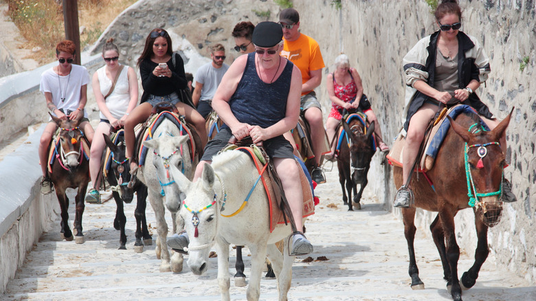 Tourists riding donkeys up the 500-plus steps to Fira in Santorini.