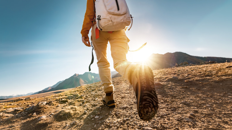Hiker walking in nature