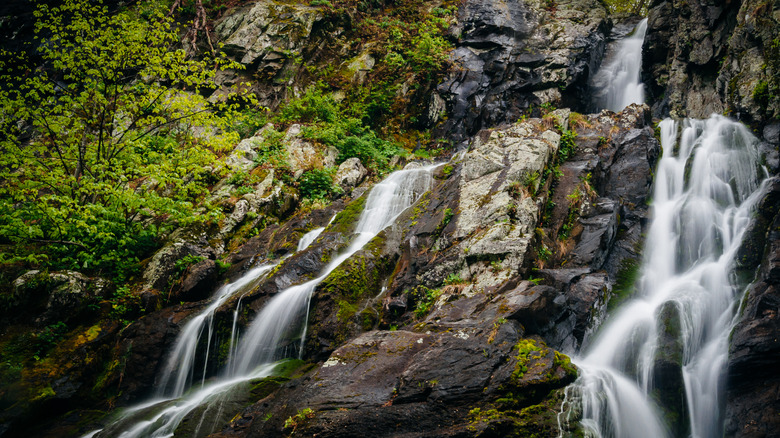 South River Falls, a waterfall in Shenandoah National Park, Virginia.