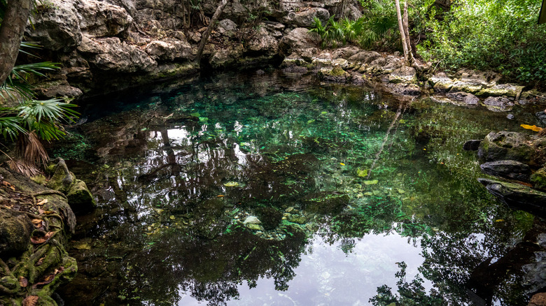 The outdoor portion of Cenote Xunaan Ha