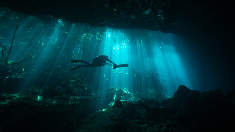 A SCUBA diver plunges below the surface of a cenote near Tulum