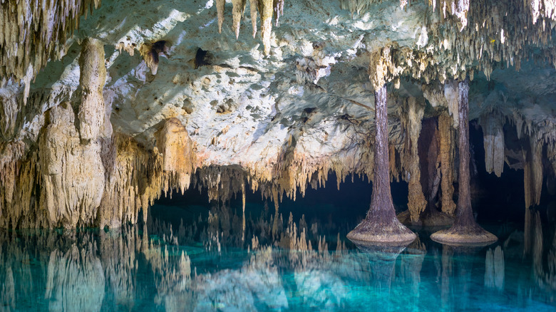 The cavern in Cenotes Sac Actún
