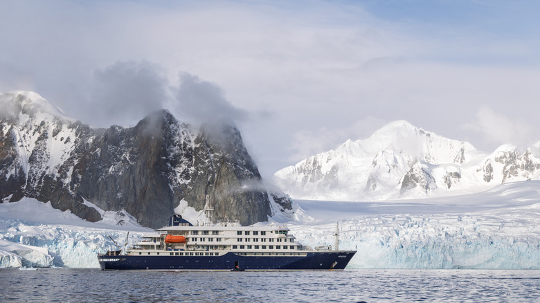 the  MV Hondius cruise ship