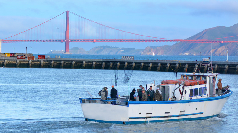whale watching tour boat
