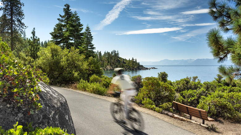 Cyclist on road near Lake Tahoe