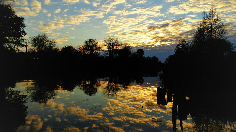 Bayou waters reflecting clouds at sunrise.