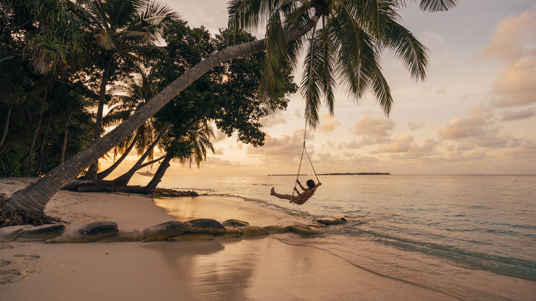 Tropical beach at sunset